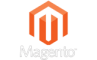 United States US Magento Website Developer